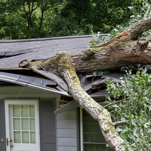Storm Damage Restoration