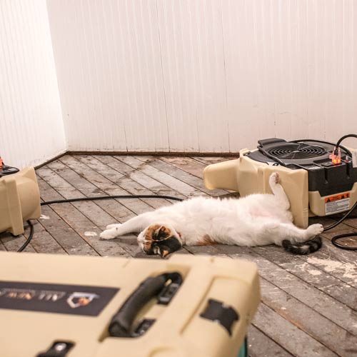 Water Remediation